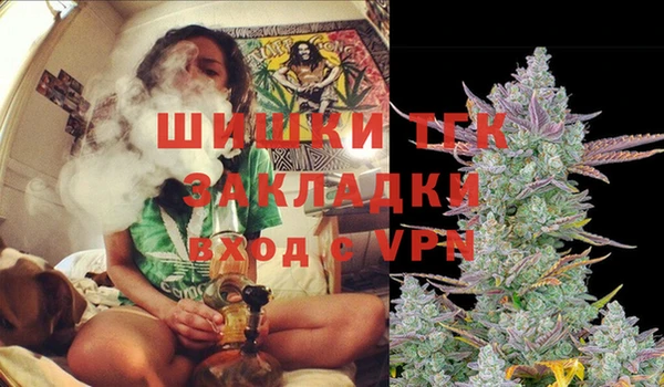 круглые Аркадак