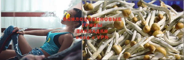 круглые Аркадак