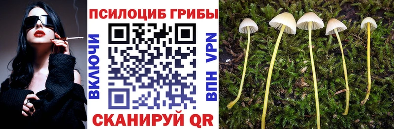 Галлюциногенные грибы Psilocybe кракен Покровск